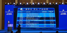 2019中国品牌价值评价信息发布