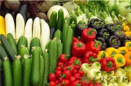 浙江、四川等地：让农产品质量安全信用更“有用”